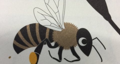 Abeille