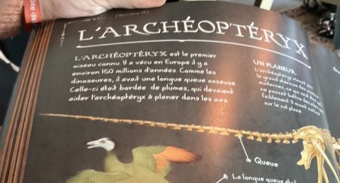 L'archéoptéryx
