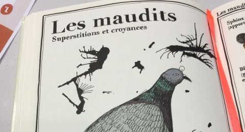 Un Pigeon
