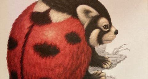 Coccinours