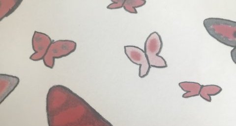 Papillon