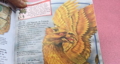Griffon