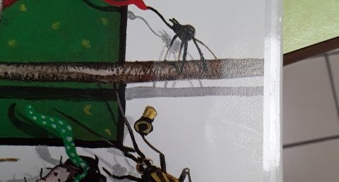 Insecte