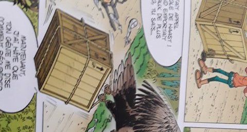 Aigle de Haast