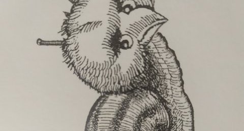 Animal imaginaire