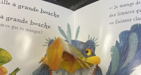 Oiseau bleu