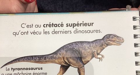 Tyrannosaurus
