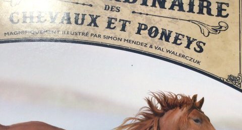 Le brumby