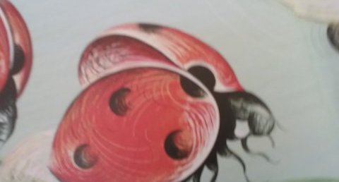 Coccinelle