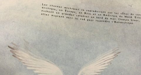 Sterne attique