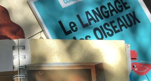 Mesange