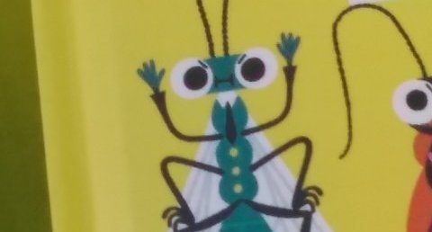 Mouche