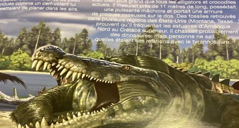 Deinosuchus