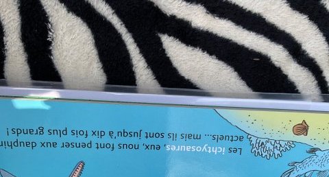 Iichtyosaures