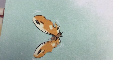 Papillon