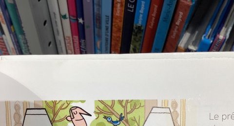 Pas de nom (mésange bleue peut-être)