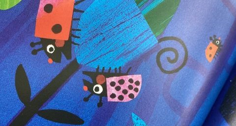 Coccinelle