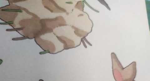 Oiseau