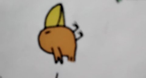 Oiseaux