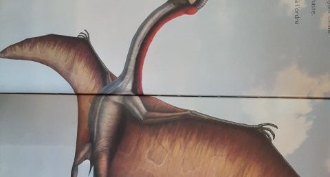 Quetzalcoatlus
