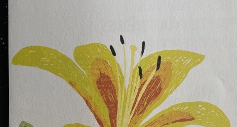 Une fleur jaune ?