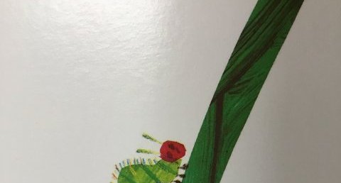 Chenille
