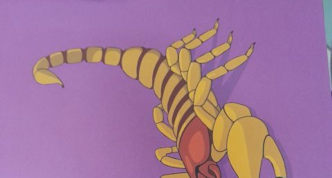 scorpion