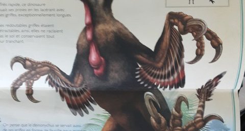 Deinonychus