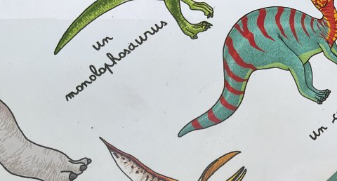 Nyctosaurus