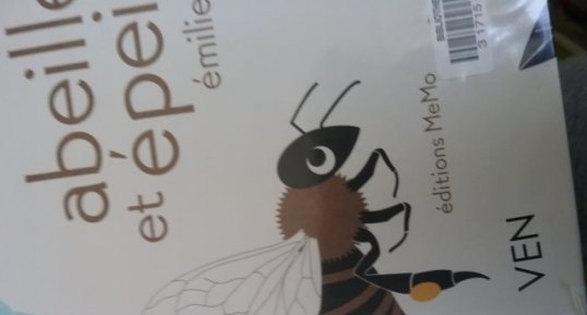 Abeille