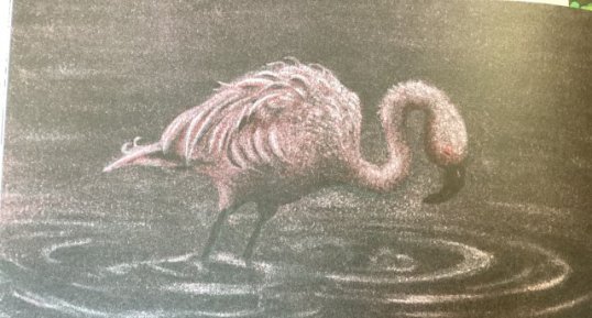 Un flamand rose