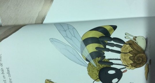 Abeille