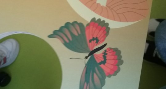 Papillon