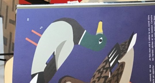 Canard colvert