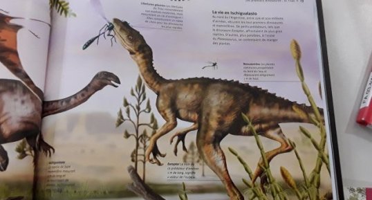 Eoraptor