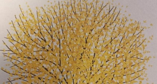 forsythia de paris
