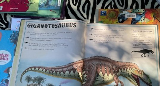 Giganotosaurus