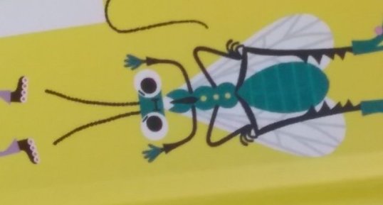 Mouche