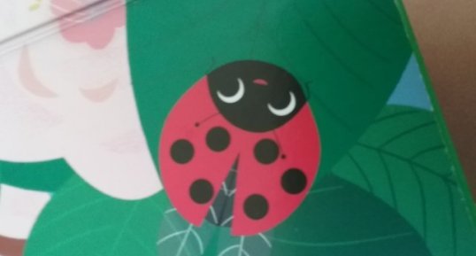 Coccinelle