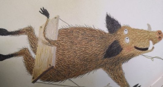 sanglier