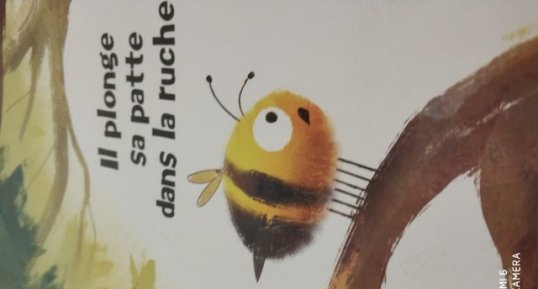 abeille