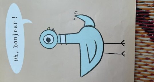 Pigeon