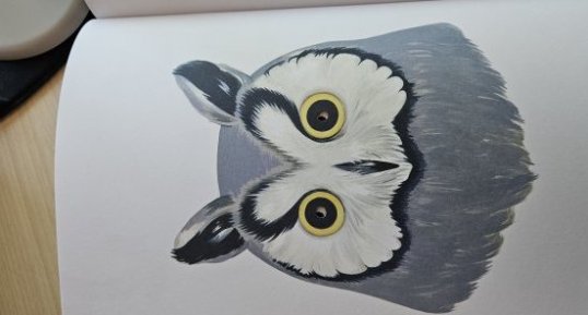 Hibou
