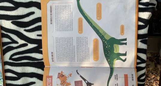 Mamenchisaurus constructus