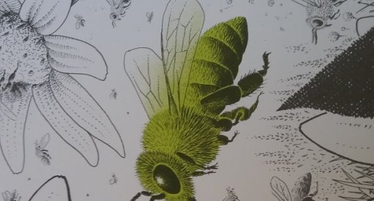 Abeille
