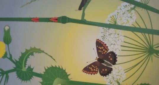 Papillon