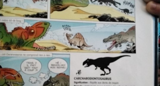 Carcharodontosaurus