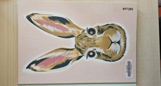 Lapin