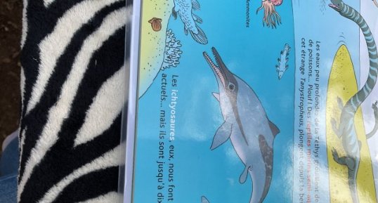 Iichtyosaures