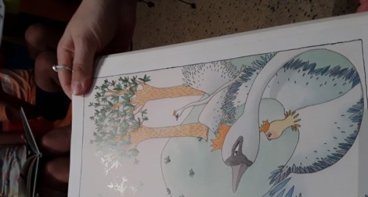Cygnes
